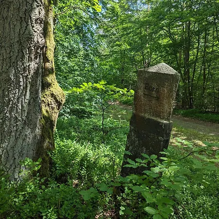 Borner Holzhaus *